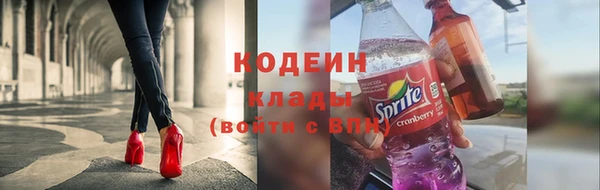 молекула духа Дмитров