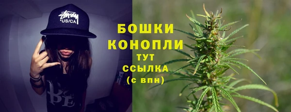 apvp Дмитриев