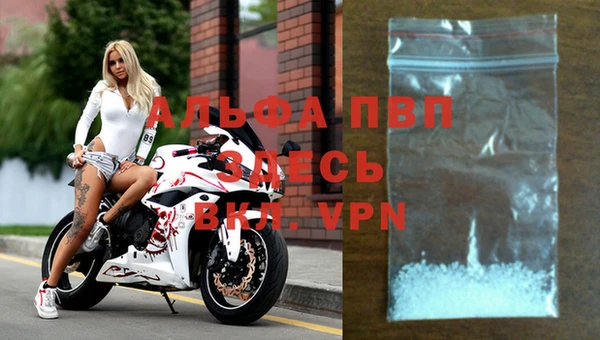 молекула духа Дмитров