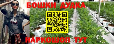 spice Гусиноозёрск