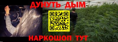 spice Гусиноозёрск