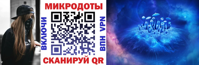 наркота  Сердобск  OMG вход  Псилоцибиновые грибы Psilocybe 