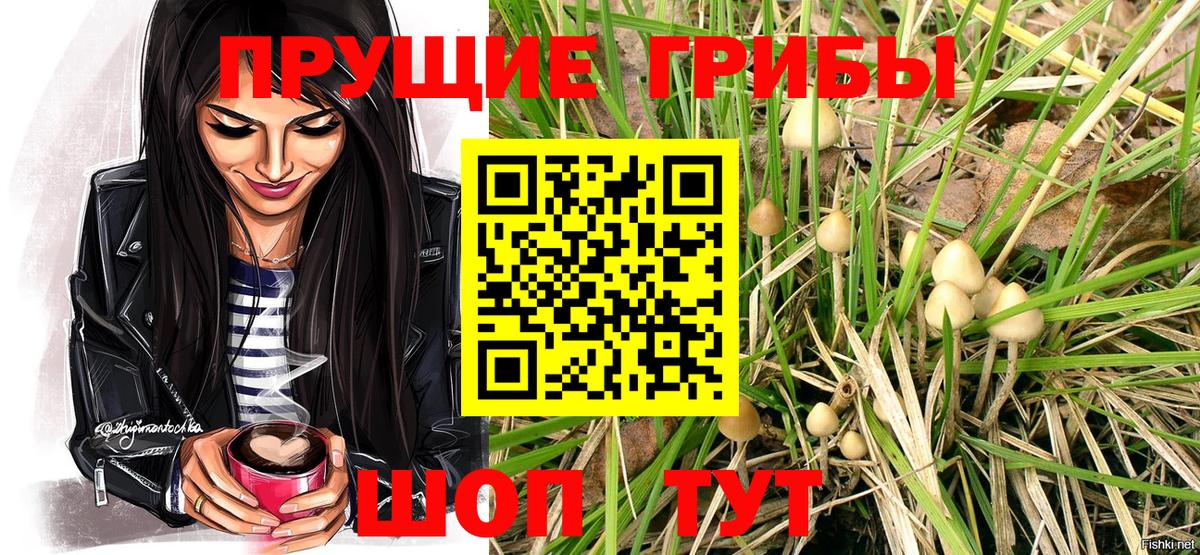 Псилоцибиновые грибы Magic Shrooms  Сердобск 